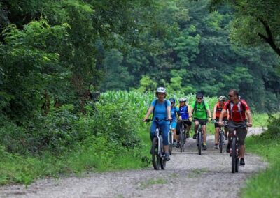 Cyclists on forest roads Styria Slovenia Cycling